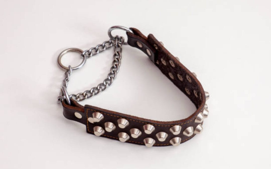 Spice Up Your Night with the Bronze Quilted Collar & Removable Leash