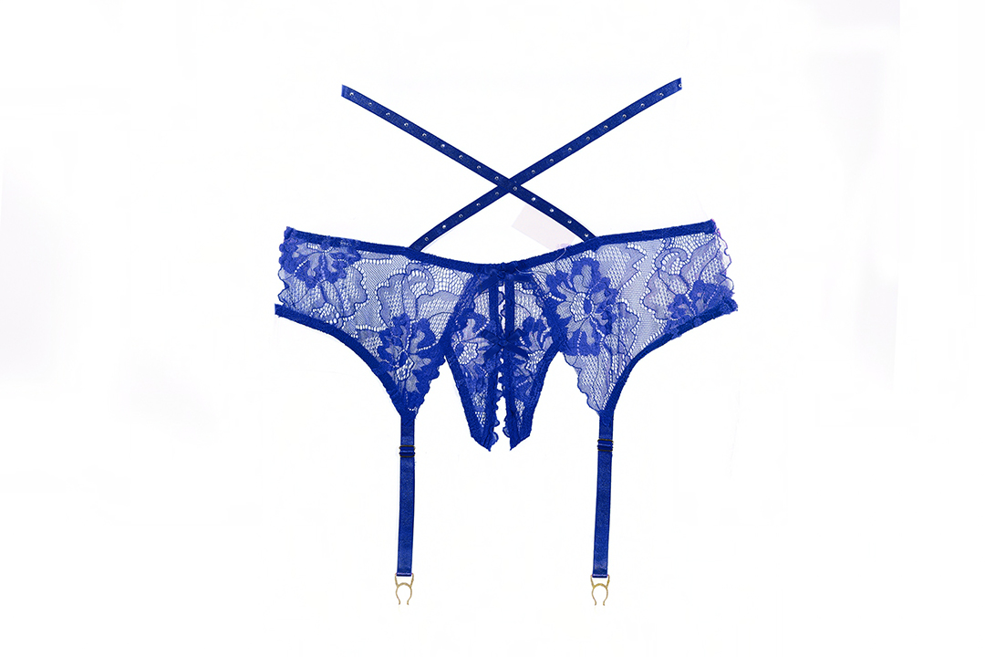 Charlotte Garter Panty
