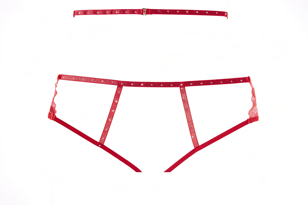 Charlotte Garter Panty